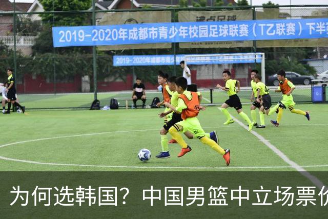 为何选韩国？中国男篮中立场票价出炉，多重博弈后FIBA调停！